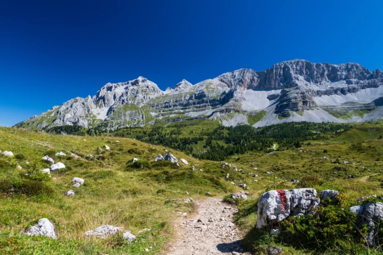 Hiking path in the Brenta Adamello nature park.