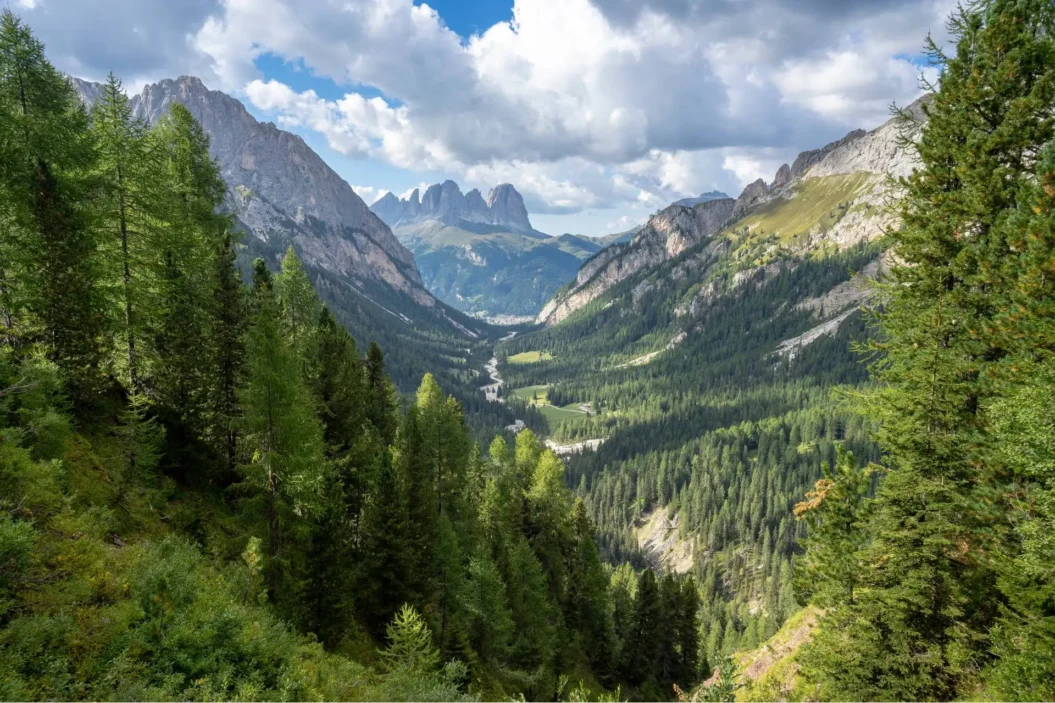 View down into the Contrin valley.
