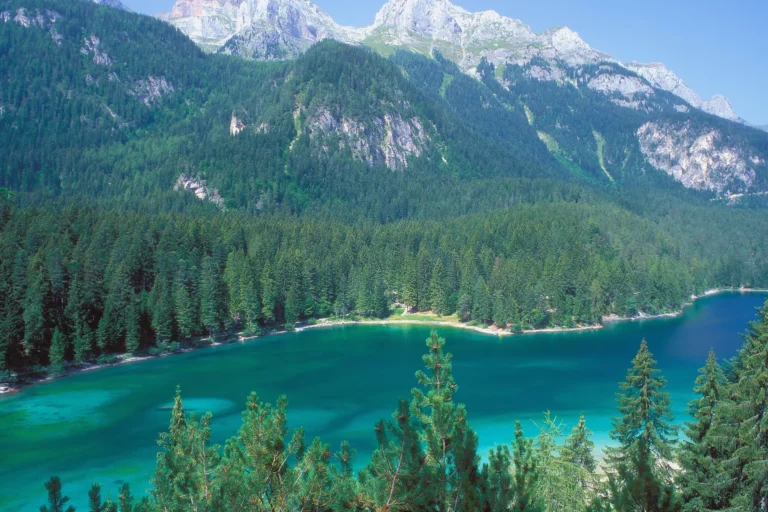 Lake Tovel in the Brenta.