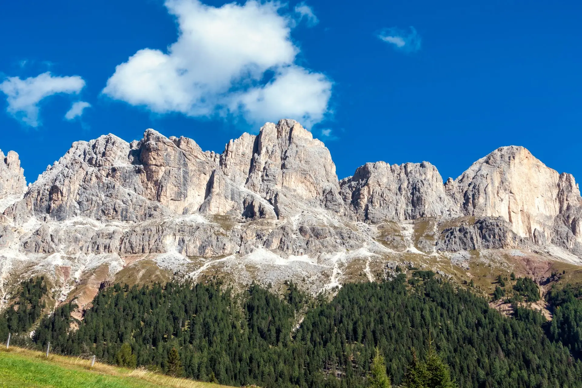 Rosengarten Group.