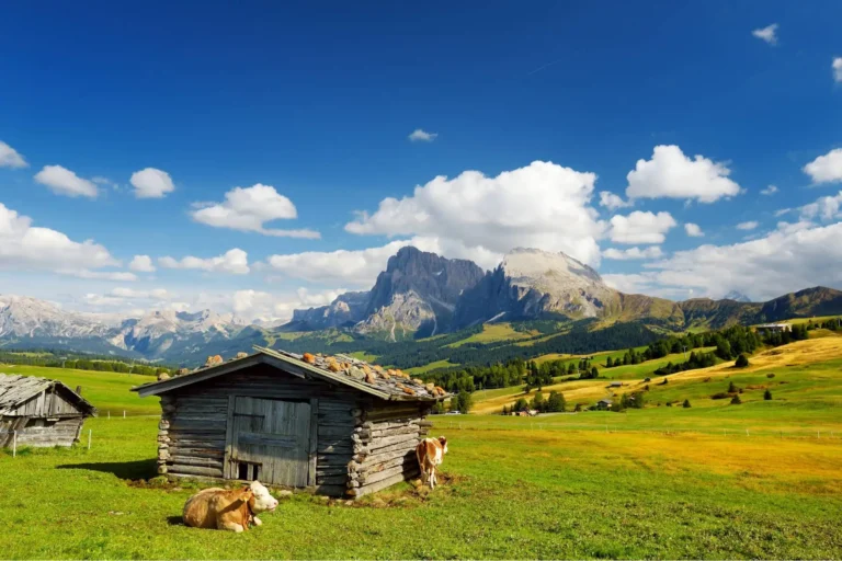 Seiser Alm with view of Sassolungo Langkofel Group.