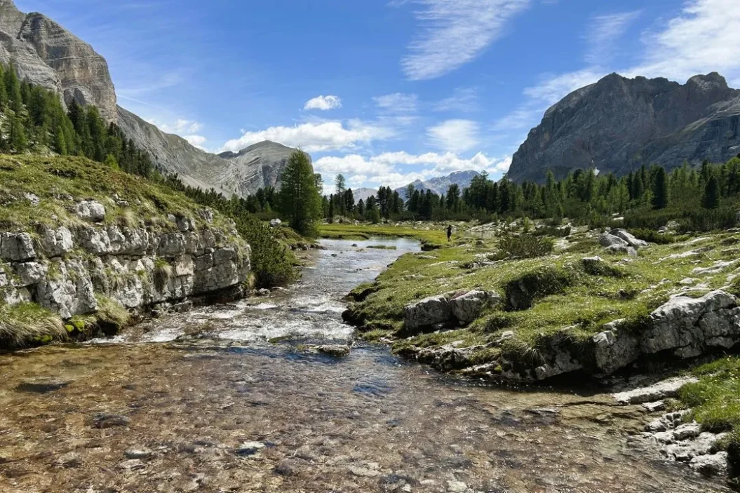 A soothing stream before the climb to Forcella di lago.