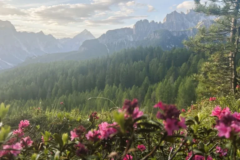 Views from the trail up to Cinque Torri.