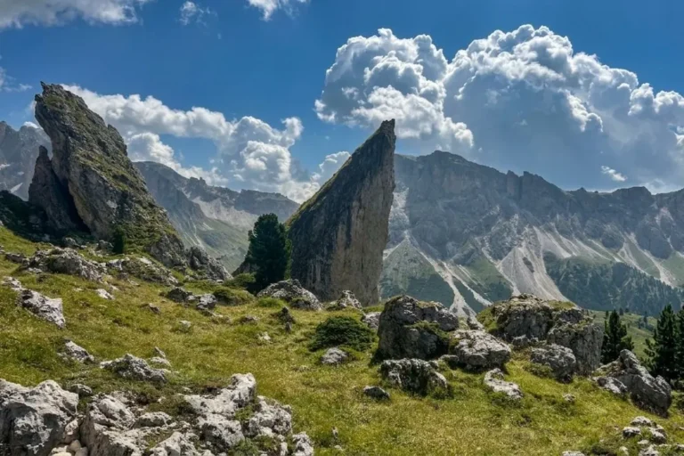 Pieralongia - (the Stone Teeth of Seceda) in Peuz-Odle Nature Park.